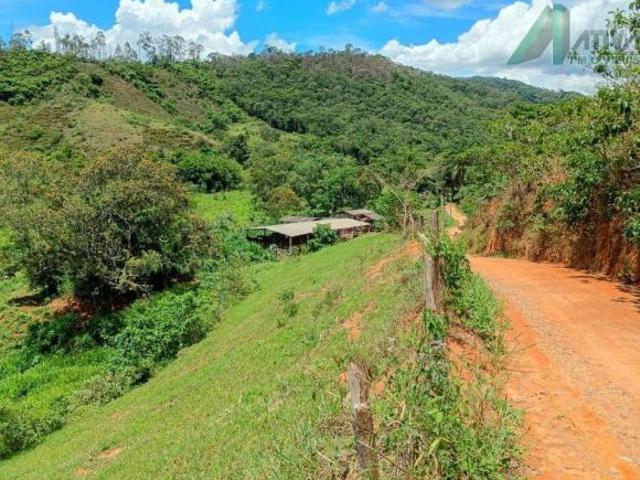 Sítio e chácara venda em Região Geográfica Imediata de Ponte Nova, Alvinópolis