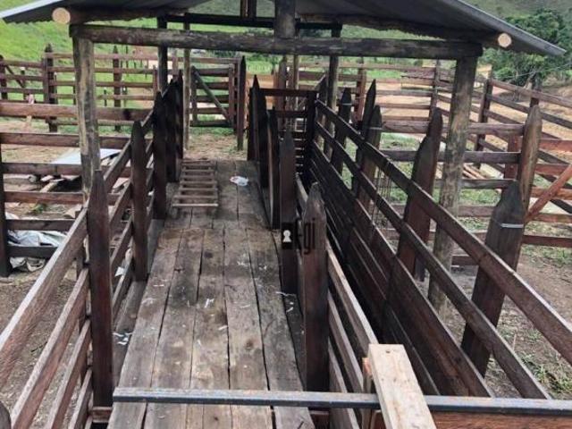 Sítio e chácara venda em Região Geográfica Imediata de Juiz de Fora, Juiz de Fora