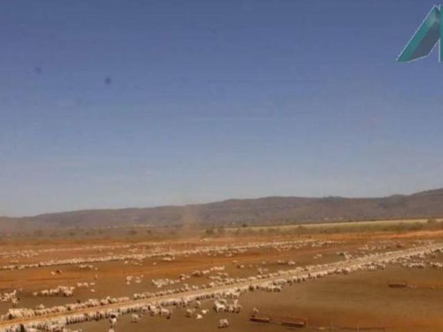Sítio e chácara venda em Região Geográfica Imediata de Pirapora, Lassance