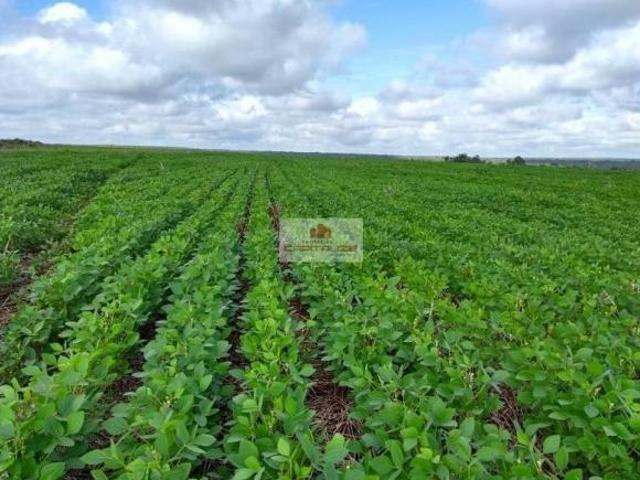 Sítio e chácara venda em Região Geográfica Imediata de Tangará da Serra, Campo Novo do Parecis
