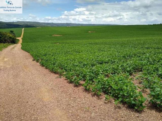 Sítio e chácara venda em Região Geográfica Imediata de Patrocínio, Coromandel