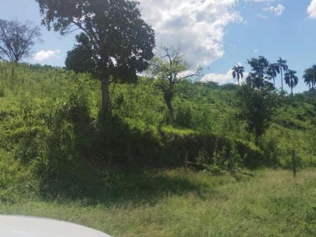 Sítio e chácara venda em Região Imediata de Itapeva, Itaóca