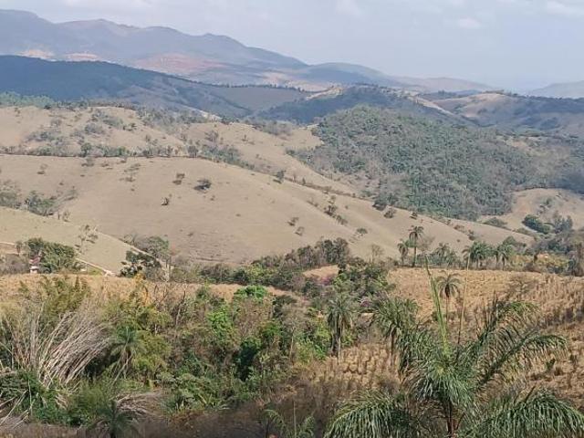 Sítio e chácara venda em Região Geográfica Imediata de Conselheiro Lafaiete, Belo Vale