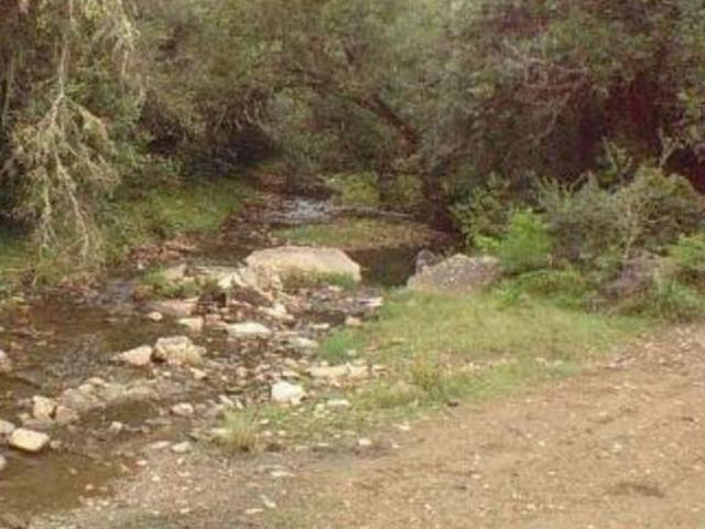 Sítio e chácara venda em Região Geográfica Imediata de São Gabriel - Caçapava do Sul, Santana da Boa Vista