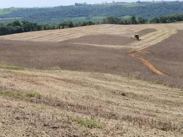 Sítio e chácara venda em Região Geográfica Imediata de Campo Mourão, Engenheiro Beltrão