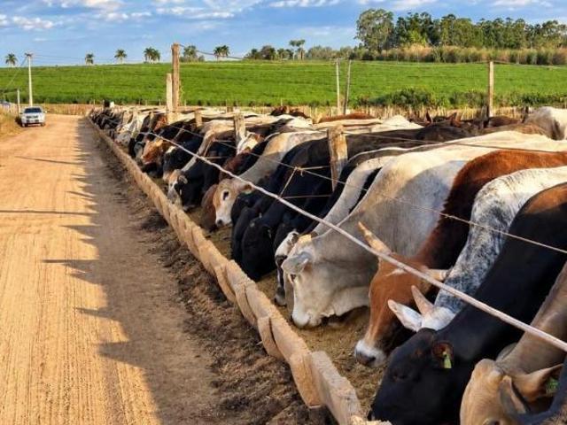 Sítio e chácara venda em Ibiá, Região Geográfica Intermediária de Uberaba