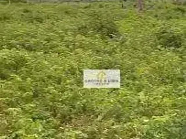 Fazenda venda em Região Geográfica Imediata de Gurupi, Formoso do Araguaia