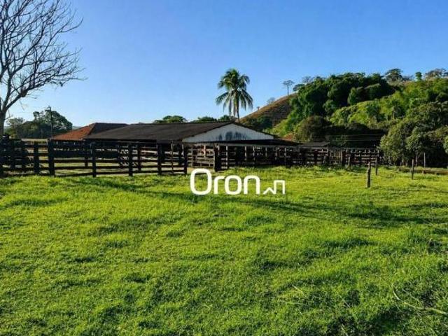 Sítio e chácara venda em Região Geográfica Imediata de Goiânia, Goiânia
