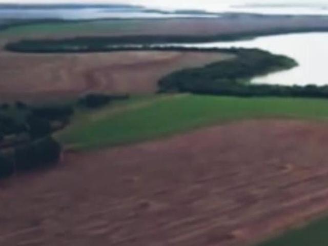 Sítio e chácara venda em Região Geográfica Imediata de Cornélio Procópio-Bandeirantes, Sertaneja