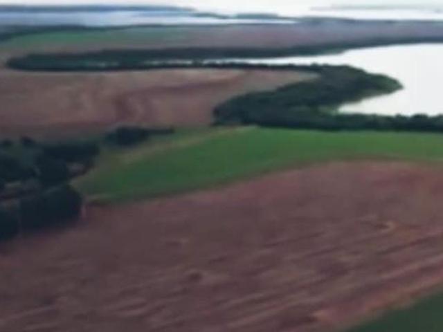 Sítio e chácara venda em Região Geográfica Imediata de Cornélio Procópio-Bandeirantes, Sertaneja