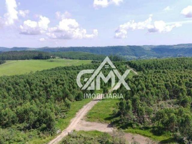 Sítio e chácara venda em Região Geográfica Imediata de Cornélio Procópio-Bandeirantes, Sapopema
