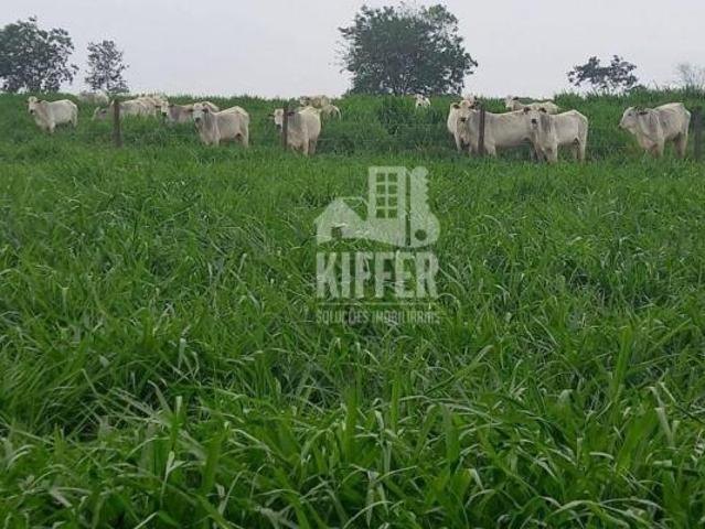 Sítio e chácara venda em Região Geográfica Imediata de Araxá, Campos Altos