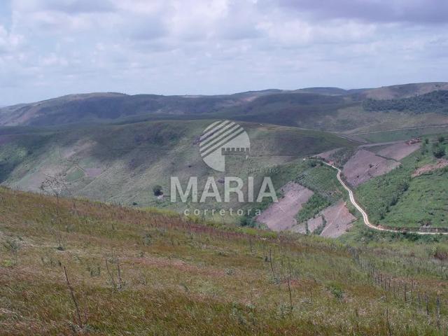 Fazenda venda em Região Geográfica Imediata de Caruaru, Gravata