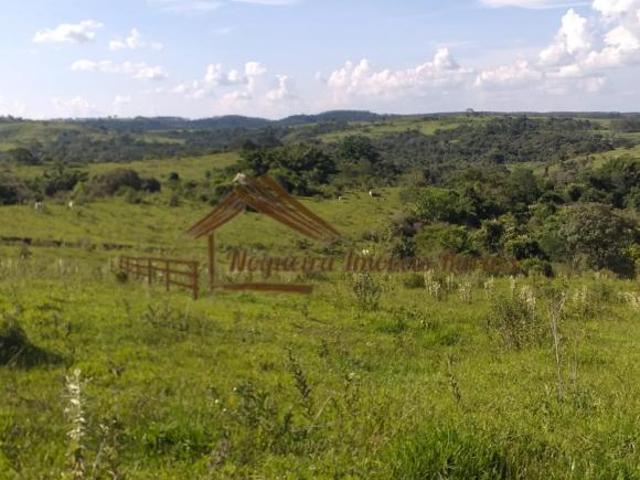 Sítio e chácara venda em Região Imediata de Marília, Garça