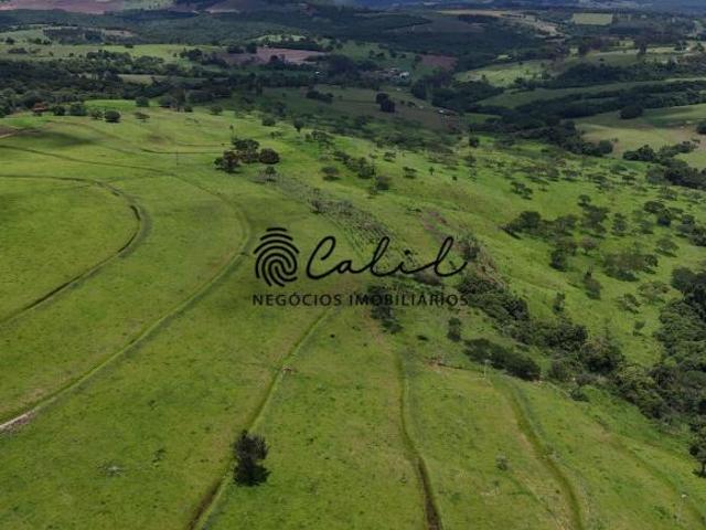 Sítio e chácara venda em Região Imediata de Ribeirão Preto, Região Metropolitana de Ribeirão Preto