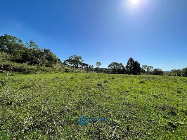Fazenda venda em Região Geográfica Imediata de Caxias do Sul, Caxias do Sul