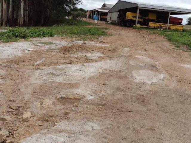 Sítio e chácara venda em Região Geográfica Imediata de Bagé, Região Sul