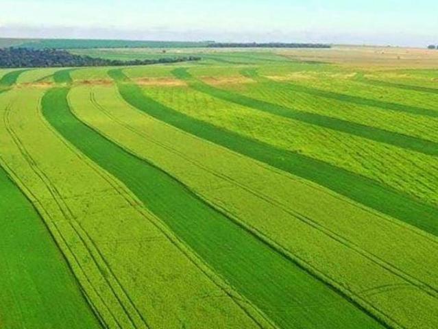 Sítio e chácara venda em Região Geográfica Imediata de Primavera do Leste, Paranatinga