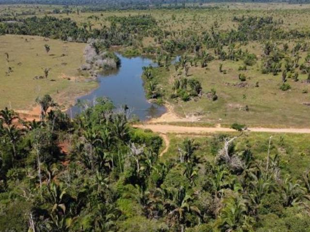 Sítio e chácara venda em Região Geográfica Imediata de Juína, Rondolândia