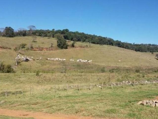 Sítio e chácara venda em Região Imediata de Taubaté-Pindamonhangaba, Região Metropolitana do Vale do Paraíba e Litoral Norte