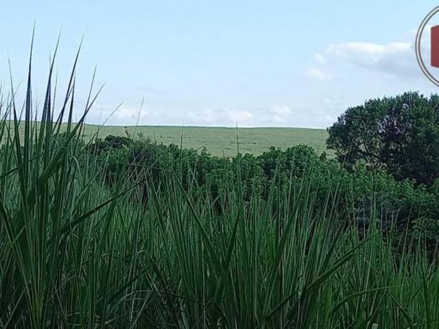 Sítio e chácara venda em São Pedro, Tietê