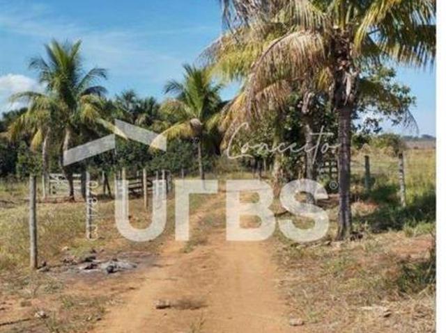 Ponto Comercial venda em Região Geográfica Imediata de Palmeiras de Goiás, Cezarina