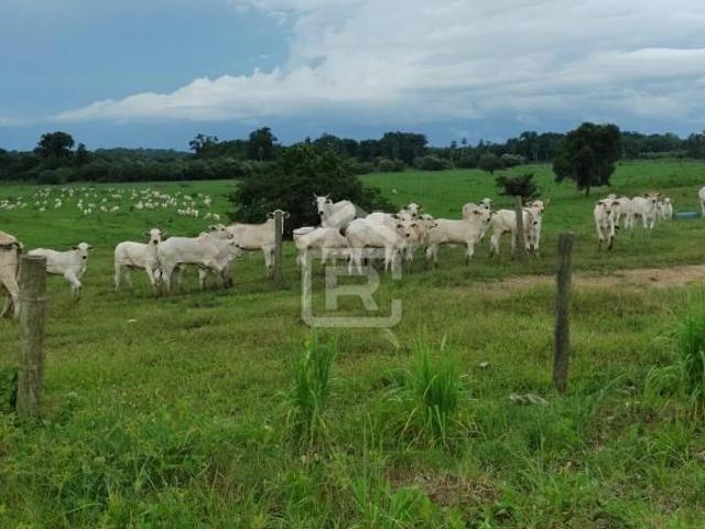 Sítio e chácara venda em Região Imediata de Registro, Sete Barras