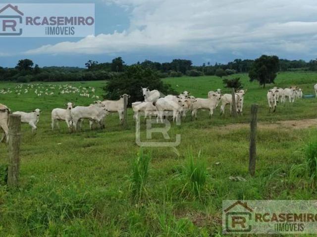 Sítio e chácara venda em Região Imediata de Registro, Sete Barras