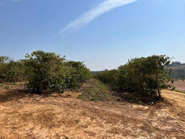 Sítio e chácara venda em Região Geográfica Imediata de Patrocínio, Patrocínio