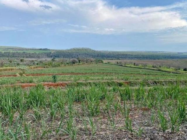 Sítio e chácara venda em Região Imediata de São Carlos, São Carlos
