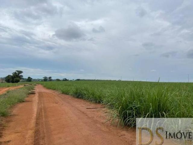 Sítio e chácara venda em Região Imediata de Araraquara, Araraquara