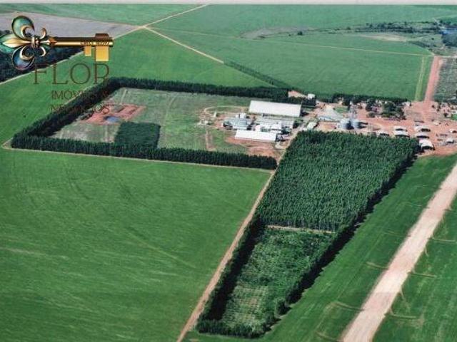 Sítio e chácara venda em Região Geográfica Imediata de Sorriso, Nova Mutum