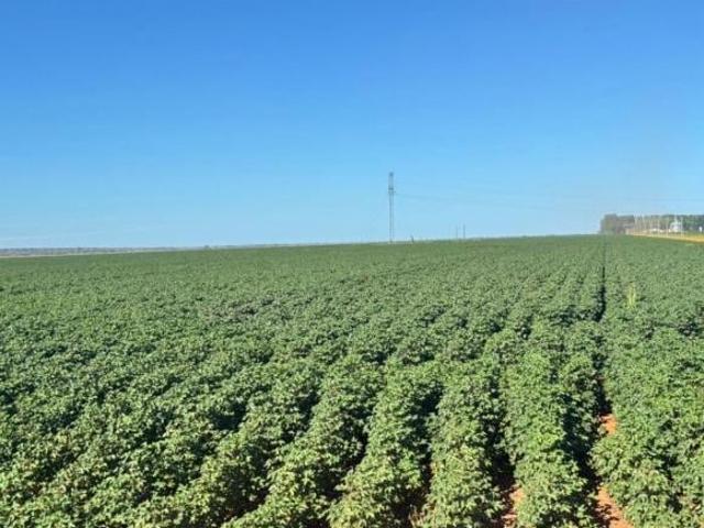 Sítio e chácara venda em Nova Maringá, Região Geográfica Intermediária de Cuiabá
