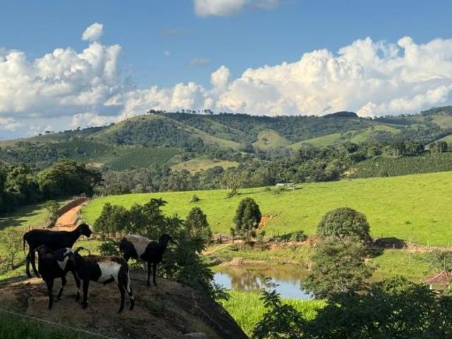 Sítio e chácara venda em Região Geográfica Imediata de Pouso Alegre, Bueno Brandão