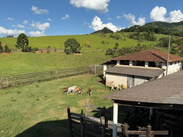 Sítio e chácara venda em Bueno Brandão, Região Geográfica Intermediária de Pouso Alegre