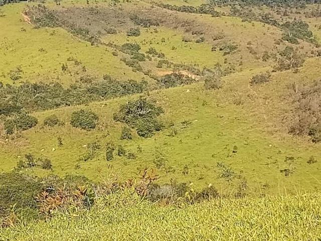 Sítio e chácara venda em Região Geográfica Imediata de Caxambu - Baependi, Minduri