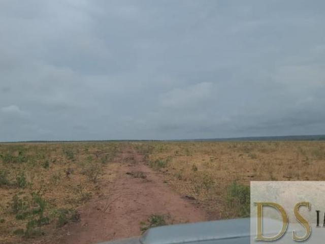 Sítio e chácara venda em Região Geográfica Imediata de Patos de Minas, Brasilândia de Minas