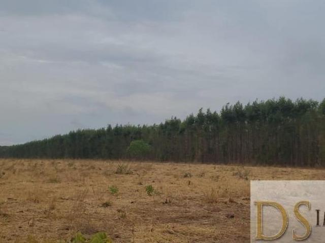Sítio e chácara venda em Região Geográfica Imediata de Patos de Minas, Brasilândia de Minas
