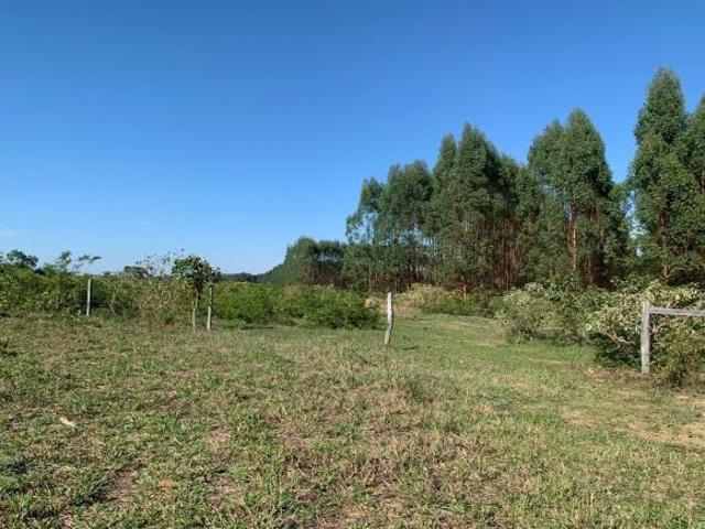Sítio e chácara venda em Região Geográfica Imediata de Patos de Minas, Brasilândia de Minas
