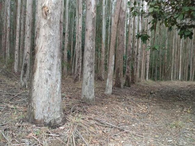 Sítio e chácara venda em Região Imediata de Cruzeiro, Região Metropolitana do Vale do Paraíba e Litoral Norte