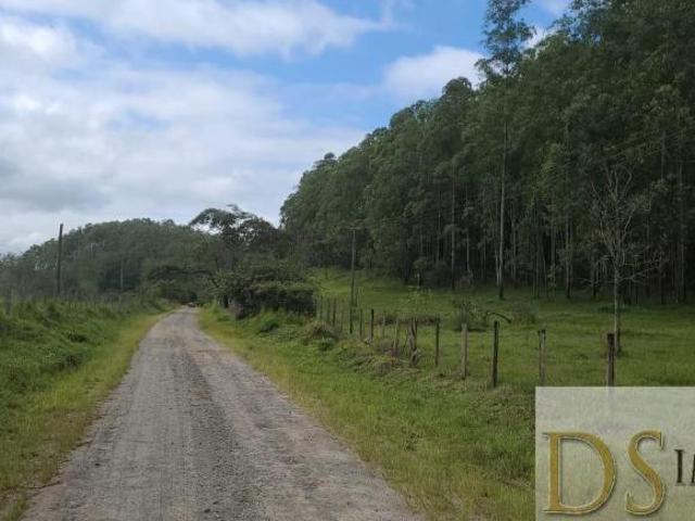Sítio e chácara venda em Região Imediata de Cruzeiro, Região Metropolitana do Vale do Paraíba e Litoral Norte