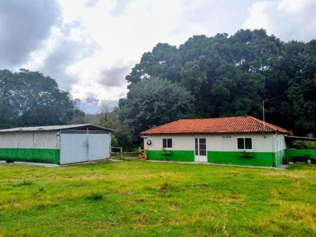 Sítio e chácara venda em Região Geográfica Imediata de Uruaçu - Niquelândia, Colinas do Sul