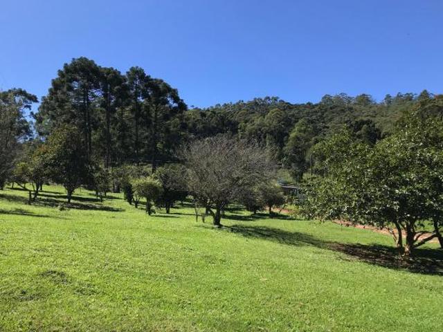 Sítio e chácara venda em Joanópolis