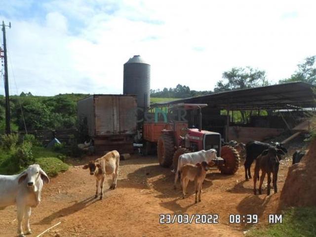 Sítio e chácara venda em Região Geográfica Imediata de Conselheiro Lafaiete, Congonhas