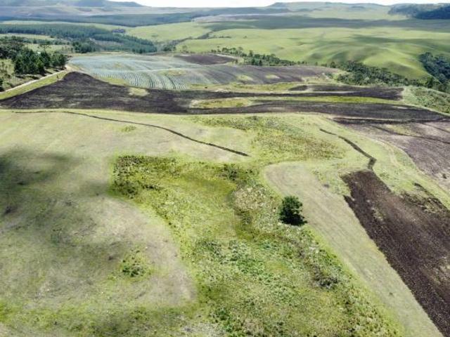 Sítio e chácara venda em Região Geográfica Imediata de Caxias do Sul, Cambara do Sul