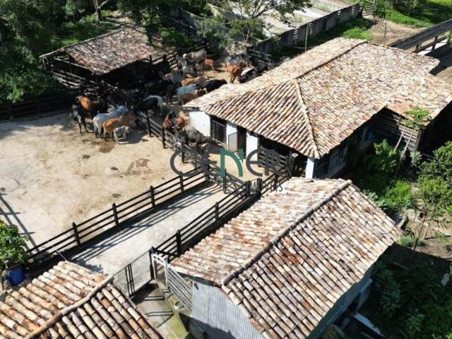 Sítio e chácara venda em Região Geográfica Imediata de Oliveira, Passa Tempo