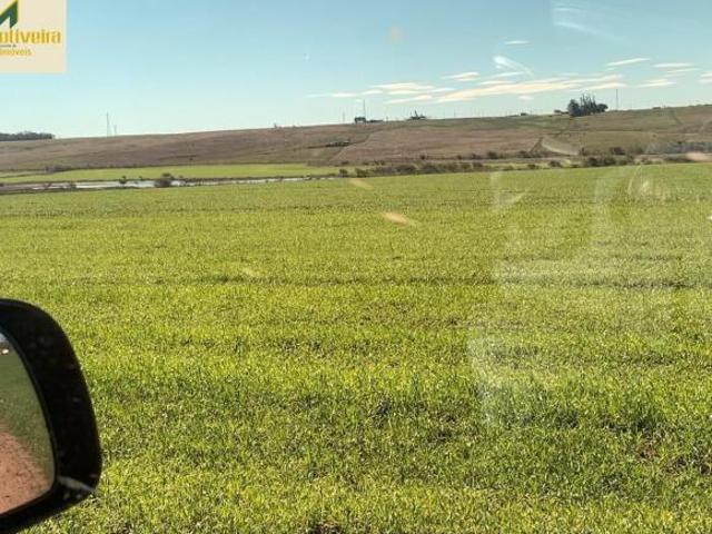 Sítio e chácara venda em Região Geográfica Imediata de Pelotas, Aglomeração Urbana do Sul