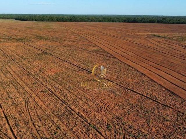 Sítio e chácara venda em Região Geográfica Imediata de Confresa - Vila Rica, São José do Xingu
