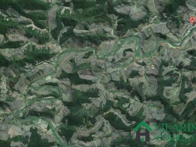 Sítio e chácara venda em Região Geográfica Imediata de Ponte Nova, Guaraciaba