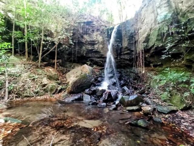 Sítio e chácara venda em Região Geográfica Imediata de Uruaçu - Niquelândia, Colinas do Sul